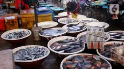 Suasana pasar ikan di Kamal Muara, Jakarta, Jumat (15/4/2022). Pasokan ikan dipastikan aman untuk kebutuhan selama Ramadhan 1443 Hijriah dan Hari Raya Idul Fitri, dengan perkiraan ketersediaan ikan tangkapan dan budidaya April dan Mei 2022 sebesar 2,99 juta ton. (Liputan6.com/Angga Yuniar)