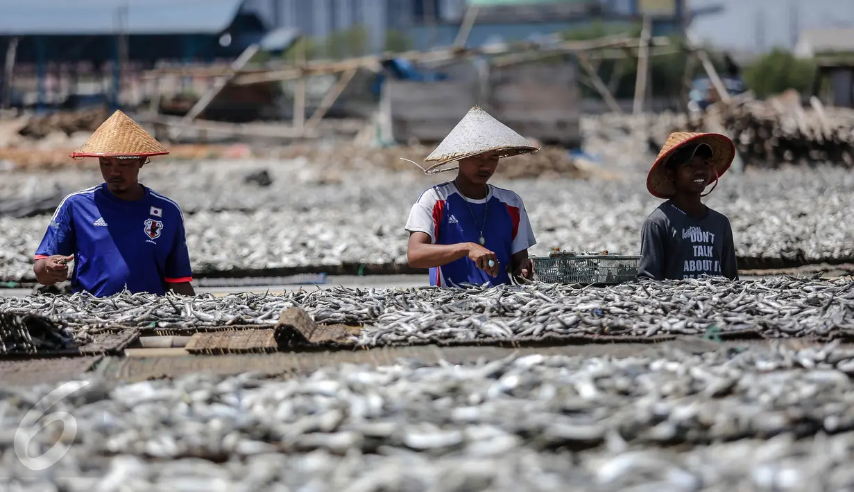 Sejumlah pekerja mengeringkan ikan asin di wilayah kampung nelayan Muara Angke, Jakarta, Senin (3/8/2015). Musim kemarau membuat produksi ikan asin di daerah tersebut meningkat 50 persen. (Liputan6.com/Faizal Fanani)