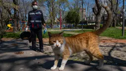 Seorang staf Kota Kadikoy memberi makan kucing liar di Istanbul, Turki, pada 18 April 2020. Bahar Cetinkaya dan timnya yang beranggotakan tiga orang menyusuri jalan di Istanbul dengan mobil membawa makanan kering untuk hewan seiring lockdown di kota tersebut akibat COVID-19. (Xinhua/Yasin Akgul)
