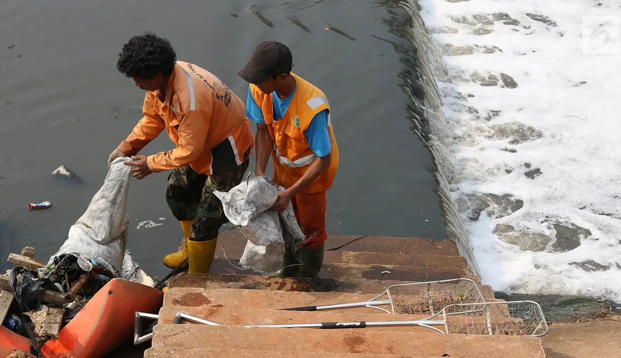 Petugas mengumpulkan sampah yang mengendap di Kanal Banjir Timur, Jakarta, Selasa (19/9). Dikhawatirkan, air yang tercemar limbah itu akan membuat ikan-ikan yang ada dialiran air KBT akan mati. (Liputan6.com/Immanuel Antonius)