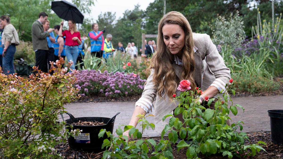 Dobrakan Gaya Kate Middleton Saat Muncul Kembali di Publik untuk Tanam Mawar dengan Tangan Kosong