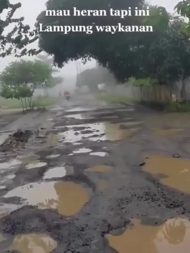 Potret Jalan di Lampung yang Rusak Parah, Netizen 'Apakah ini Wahana?'. ©2023 Merdeka.com/instagram.com/fakta.indo