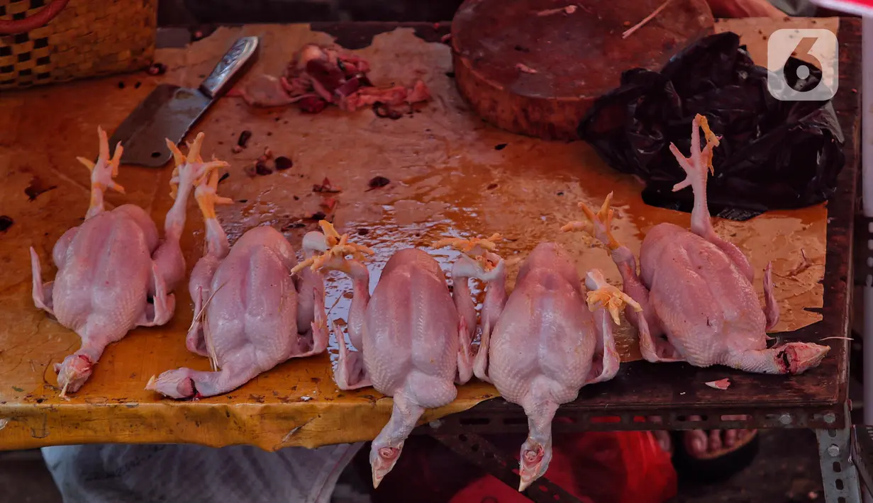 Jelang Hari Raya Idul Adha, harga ayam potong mengalami kenaikan harga mencapai Rp50.000 per ekor dengan harga sebelumnya Rp45.000 per ekor. (Liputan6.com/Angga Yuniar)