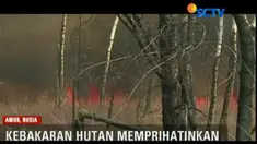 Petugas harus bekerja keras mencegah api menyebar ke kawasan permukiman manusia.