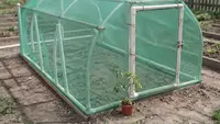 Cara Membuat Greenhouse Sederhana dari Pipa PVC, Panduan Praktis dari Nol hingga Selesai