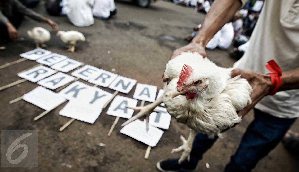 Gelar Aksi Demo Pengunjuk Rasa Bawa  1 Truk  Ayam  Ternak 