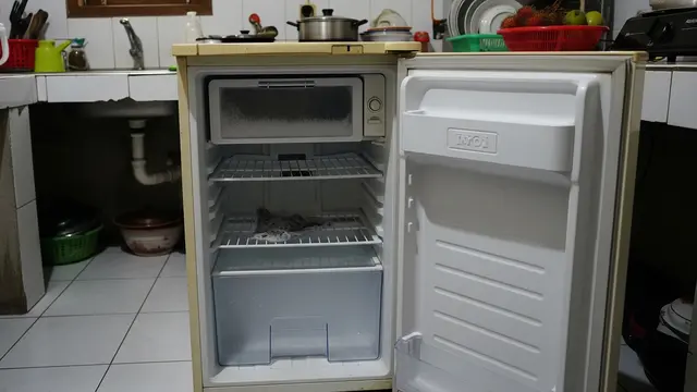 Cara Menghilangkan Bau Daging di Freezer Usai Idul Adha