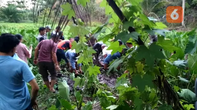Tersangka Pembunuh Mahasiswi Bengkulu Berhasil Diamankan