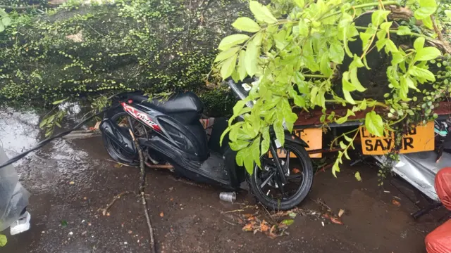 Pohon 15 Meter Roboh di Jalur Puncak. (Dok Kanit Turjawali Satlantas Polres Cianjur, Ipda Gingin)