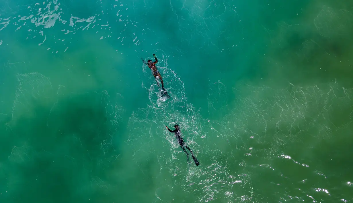 Para perenang snorkel mencari hiu di Laut Mediterania, dekat pembangkit listrik di lepas pantai Hadera, Israel, Rabu (23/2/2022). Kawanan hiu ini tidak dianggap berbahaya bagi manusia, tetapi semakin terancam oleh penangkapan ikan yang berlebihan. (AP Photo/Ariel Schalit)