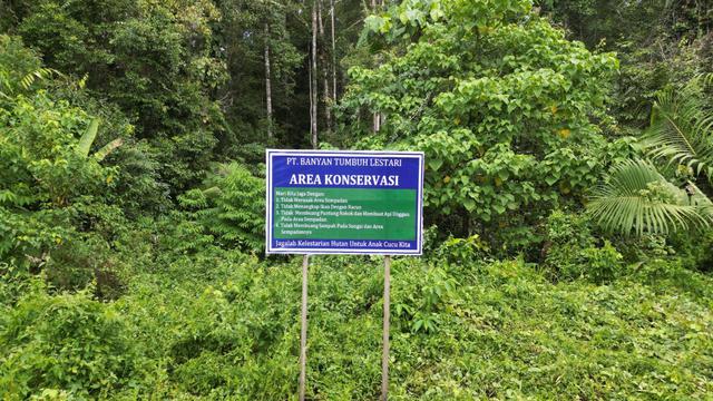 Kebun Energi yang dibangun oleh perusahaan PT BTL dan IGL