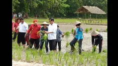 Presiden Jokowi memimpin penanaman padi di Ngara Kecamatan Mandor Kabupaten Landak, Kalimantan Barat, Selasa (20/1/2015). (Rumgapres/Agus Suparto)