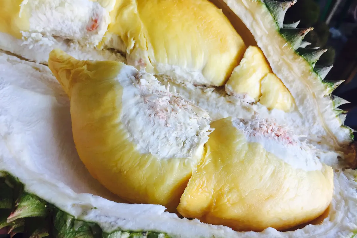 durian
