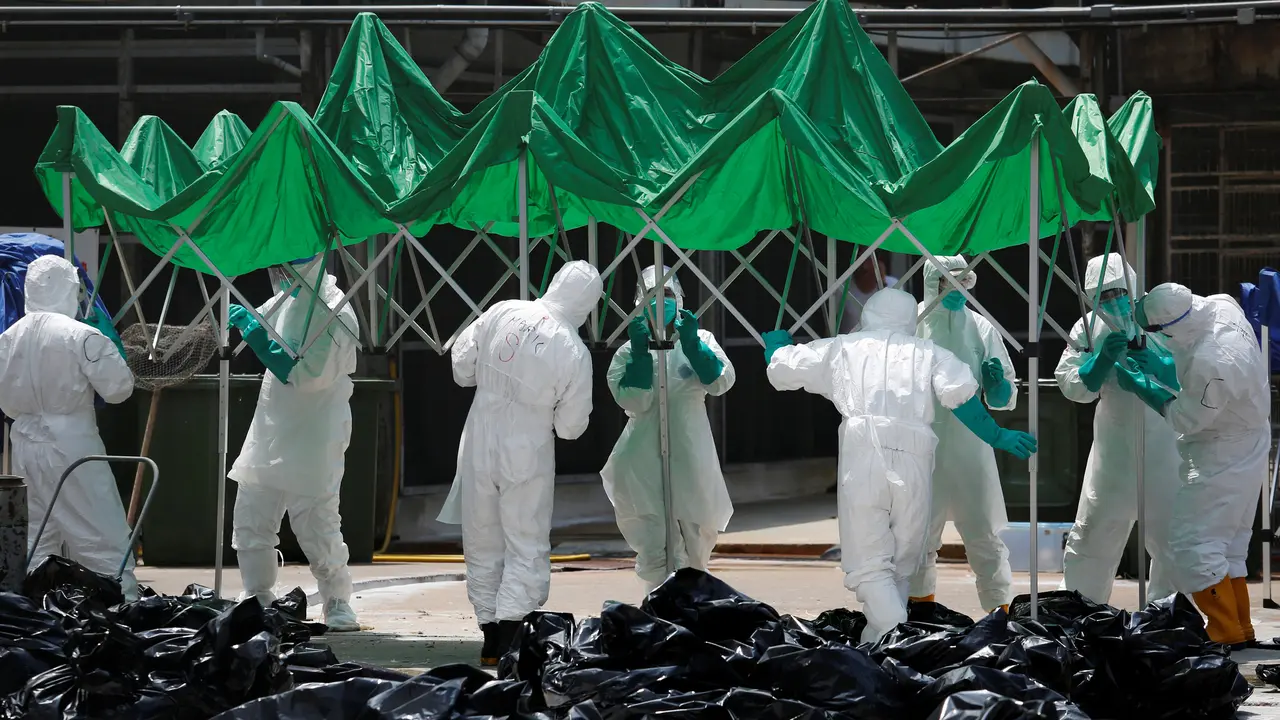 20160607-Flu-Burung-Hongkong-Reuters