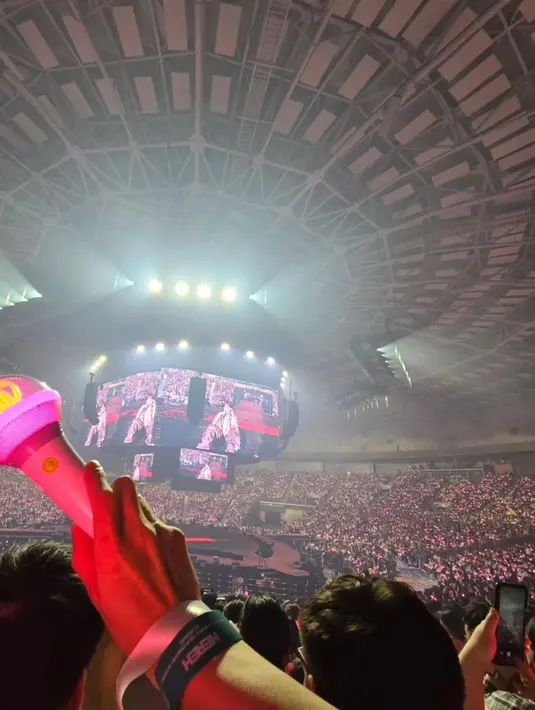 Lee Joon Gi mengunggah foto lightstick dengan background panggung dan ribuan penonton yang memenuhi seisi venue. (Foto: Instagram/ actor_jg)