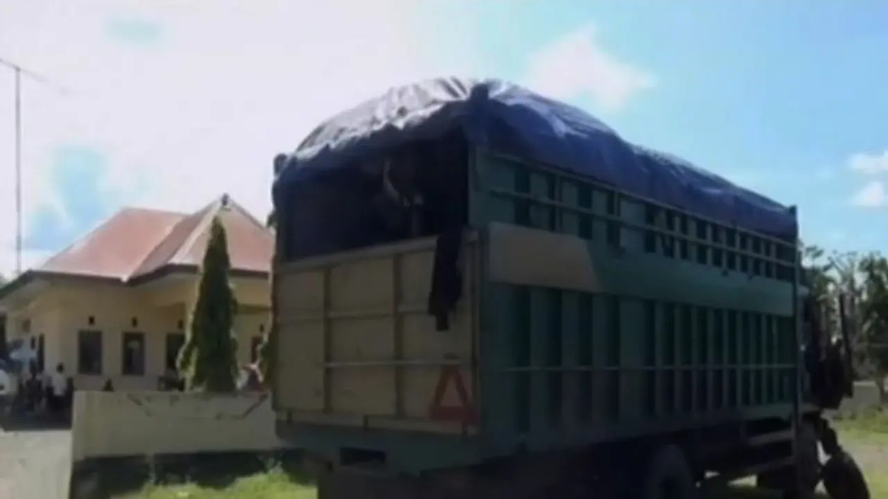 Segmen 2: Wisata Edukasi di Surabaya hingga Truk Raskin Ditahan