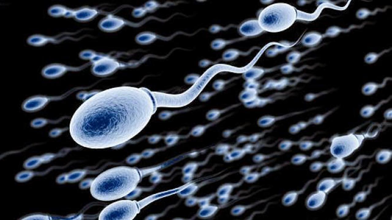 6 Fakta Unik Sperma Yang Belum Terpublikasi