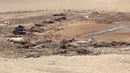 Kondisi bangkai kuda yang tergeletak dekat kubangan air kering di Cameron, Arizona, AS, 3 Mei 2018. Kematian lebih dari 100 ekor kuda liar itu adalah salah satu contoh paling mencolok dari kemarau panjang di wilayah tersebut. (AP/Felicia Fonseca)