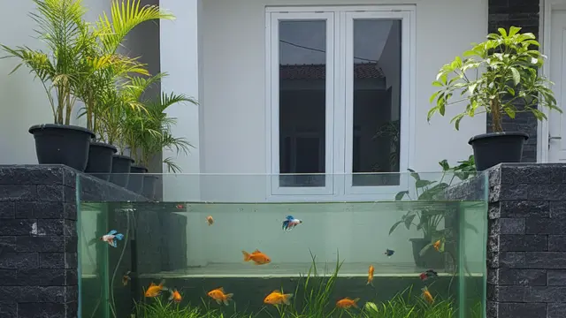 Model Kolam Ikan Minimalis Batu Alam Bikin Rumah Adem dan Estetik. AI