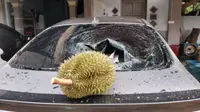 Pria ini sebut durian itu istimewa karena jatuh tak sentuh tanah. (Sumber: Twitter/fadmnf)