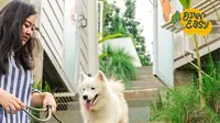 Berlibur bersama anjing kesayangan di tengah sejuknya Kota Lembang Bandung dapat menjadi sensasi berbeda tersendiri untuk kamu dan anjing kesayanganmu (Foto: Official Release Maverick Indonesia)