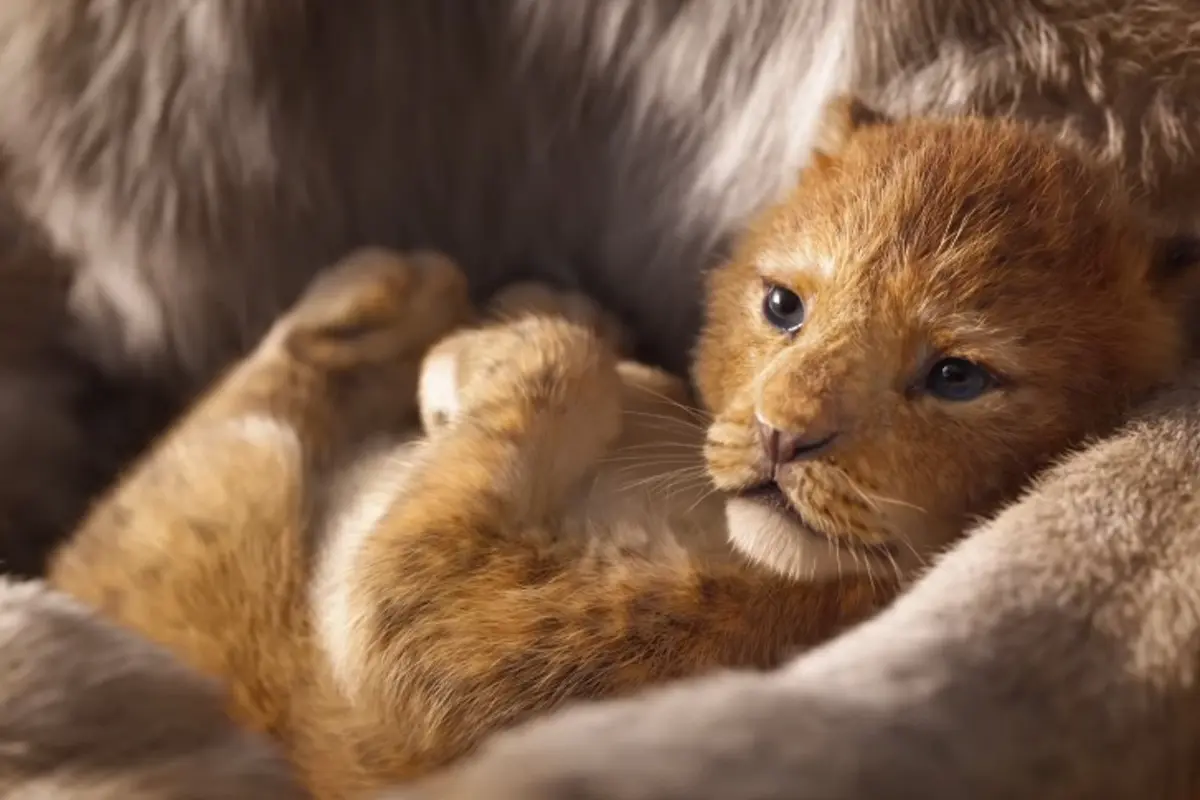 The Lion King (YouTube/  Walt Disney Studios)