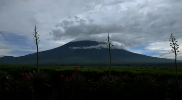 Gunung Kerinci merupakan gunung tertinggi berapi di Indonesia. Gunung Kerinci memiliki ketinggian 3805 Mdpl dan terletak di perbatasan Provinsi Jambi dengan Sumatera Barat. Foto diambil pada 14 Mei 2015. (Liputan6.com/Helmi Fithriansyah)