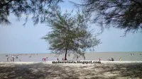Keindahan Alami Pantai Sri Mersing Sumut