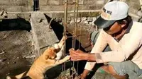 7 Potret Tingkah Kocak Kucing Membantu Manusia, Bikin Gemes