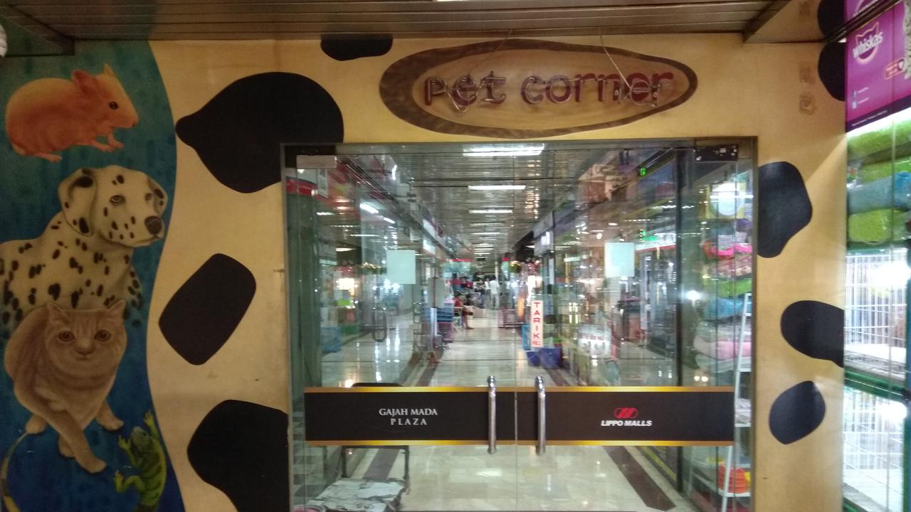 Pet Corner Gajah Mada Plaza