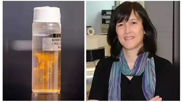 Ilmuwan Minum Air Berumur Milyaran Tahun