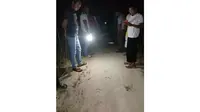 Masyarakat Desa Karya Indah, Kabupaten Kampar, menemukan jejak Harimau Sumatra di tengah jalan tak jauh dari pemukiman. (Liputan6.com/Istimewa/M Syukur)