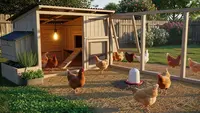 Ternak Ayam Kampung Super Skala Kecil untuk Penghasilan Tambahan, Panduan dari Kandang Hingga Panen