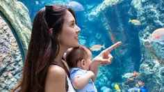 Potret Aurelie Moeremans Ajak Baby Tommy Jalan-jalan ke Aquarium