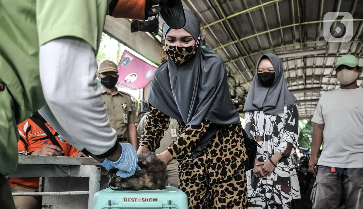 Warga membawa hewan peliharaan untuk vaksinansi rabies hewan di Pos RW 04, Kelurahan Kebon Kelapa, Kecamatan Gambir, Jakarta, Selasa (3/11/2020). Selain di Pos RW setempat, petugas melakukan vaksinasi rabies secara gratis dengan sistem jemput bola ke rumah warga. (merdeka.com/Iqbal S Nugroho)