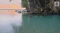 Suasana Sungai Tamborasi di Desa Tamborasi, Kecamatan Wolo, Kabupaten Kolaka, Sulawesi Tenggara (16/10/2019). Panjang Sungai Tamborasi hanya 20 meter, dengan lebar 15 meter. Hulu sungai sangat berdekatan dengan hilir yang bermuara ke Pantai Tamborasi. (Liputan6.com/Nurseffi Dwi Wahyuni)