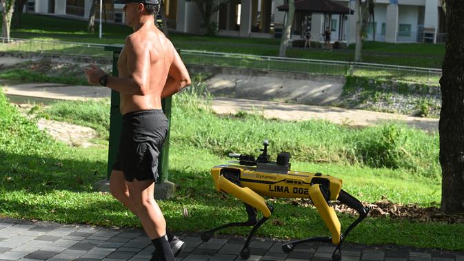 Seorang pria berolahraga melintasi robot berkaki empat yang mirip anjing, Spot selama uji coba dua minggu di Bishan-Ang Moh Kio Park, Singapura pada 8 Mei 2020. Robot itu menyiarkan pesan untuk mengingatkan warga untuk melakukan jaga jarak di tengah pandemi virus corona. (Roslan RAHMAN/AFP)