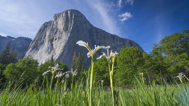 Ada di Indonesia, Ini 6 Batu Monolit Terbesar di Dunia yang Punya Pemandangan Indah