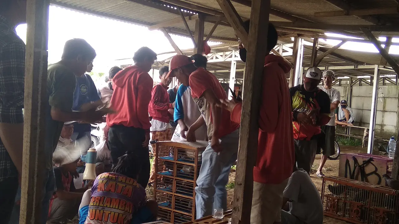 Pehobi burung dara mengikuti lomba merpati kolongan di lapak BAH 1, Bantargebang, Kota Bekasi. (Liputan6.com/Bam Sinulingga)