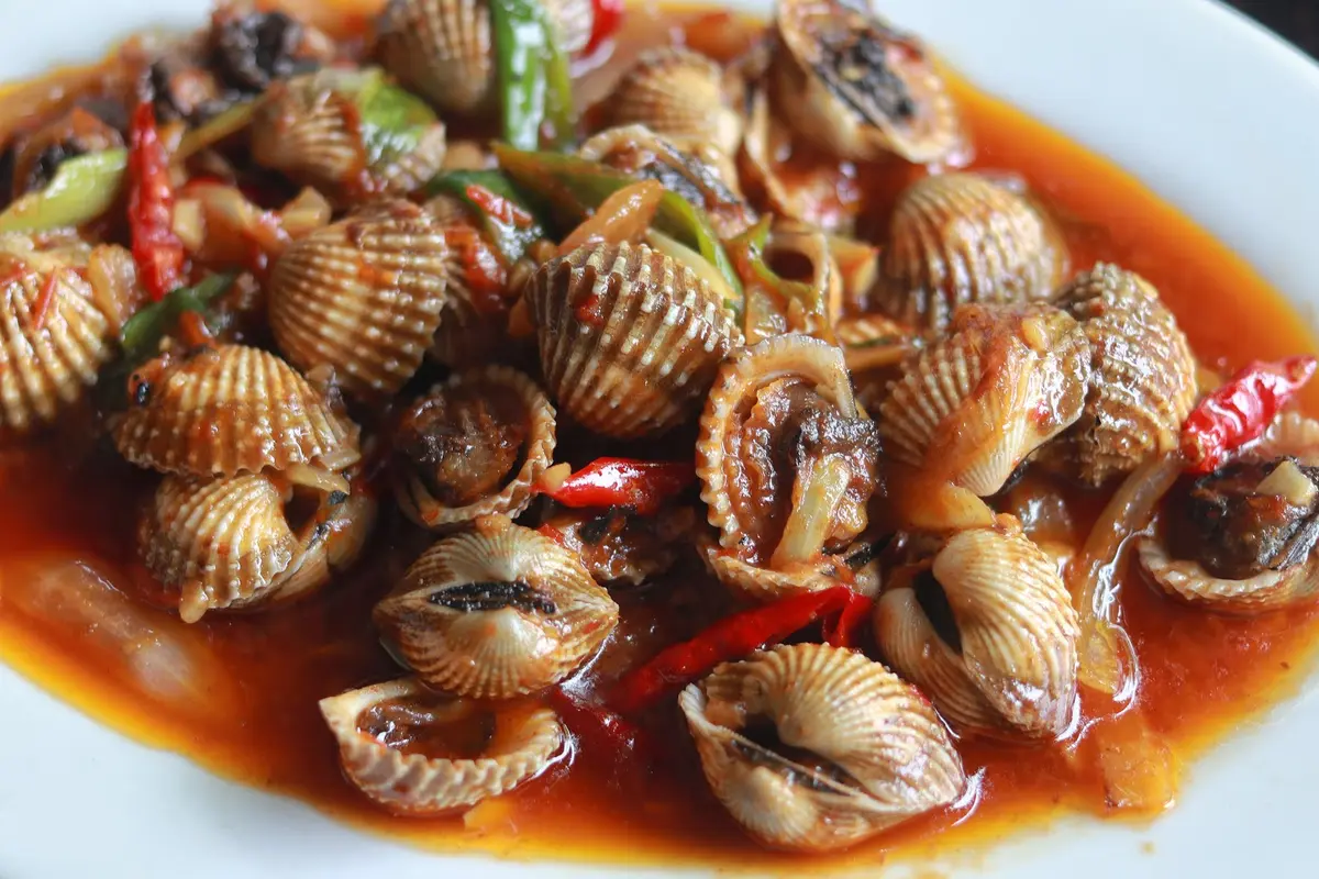 kerang dara