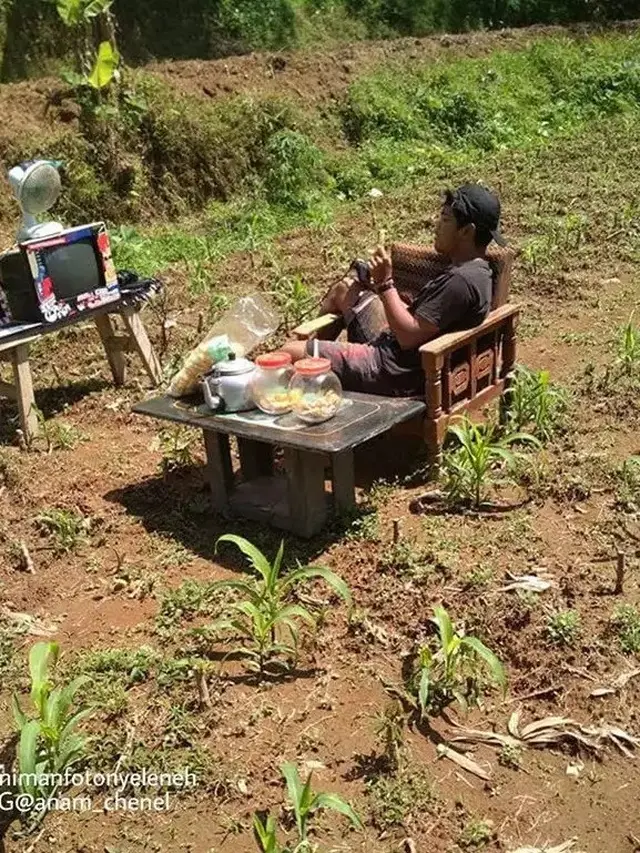 6 Tingkah Absurd Nonton TV di Alam Terbuka, Enggak Habis Pikir