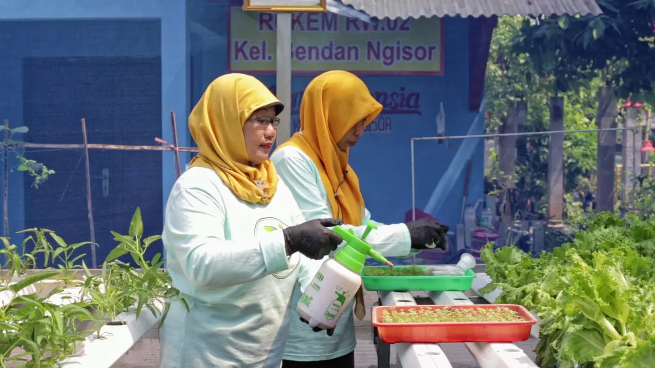 Jalankan Urban Farming dengan Dukungan ‘BRInita’, Teh Herbal Jadi Produk Unggulan Poktan Bensor di Semarang