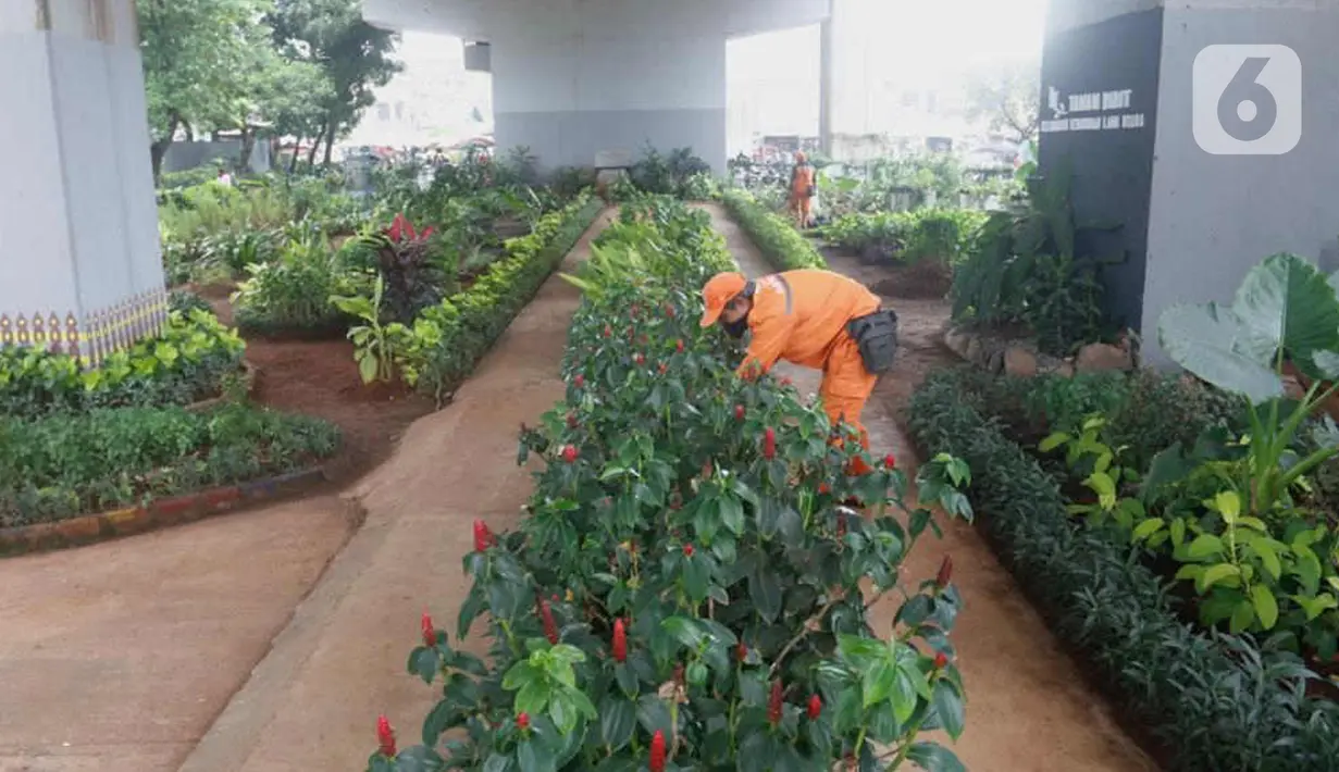 Petugas PPSU merawat tanaman di kolong flyover di Taman Bibit di Kebayoran, Jakarta, Jumat  (12/3/2021). Selain untuk mempercantik area kolong flyover, taman bibit tersebut dimanfaatkan sebagai sarana untuk bercocok tanam. (Liputan6.com/Angga Yuniar)