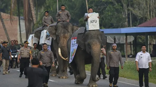 Dibalik Terselenggaranya Pemilu 2019, Begini Perjuangan Panitia yang Bikin Kagum