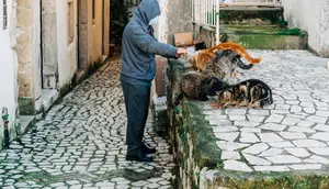 Anabul Kesayangan Picky Eater, Ini Tips yang Perlu Diketahui Pet Owner