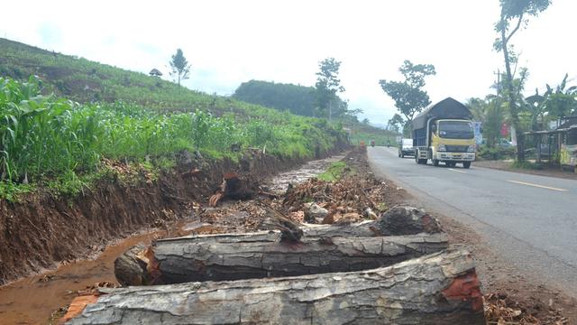 Titik rawan banjir lumpur di Cigulingharjo, Padangjaya, Majenang, Cilacap. (Foto: Liputan6.com/Muhamad Ridlo)