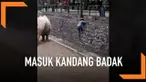 Aksi tidak terpuji baru saja dilakukan seorang wanita berusia 40 tahun di La Pastora Ecological Park, Nuevo Leon, Meksiko. Wanita tersebut nekat masuk ke kandang badak karena handphone miliknya terjatuh di kandang.