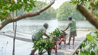 Menghijaukan Pesisir Pantai Ala BUMN