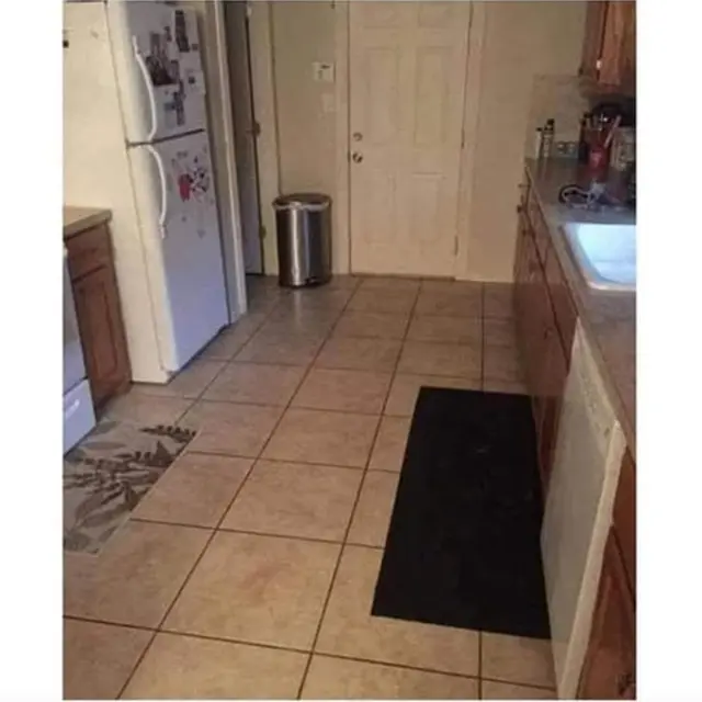 Tantangan Tes Penglihatan, Temukan Anjing yang Tersembunyi di Dapur Ini