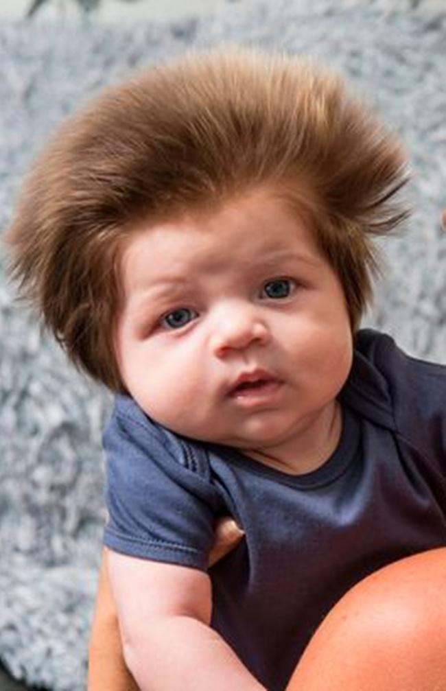 Junior adalah bayi 8 minggu dengan rambut super lebat dan tebal | Photo: Copyright mirror.co.uk